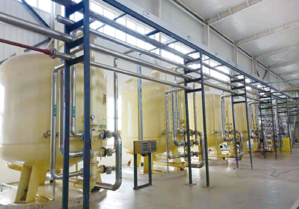 山东临沂50T双级反渗透设备安装调试完成